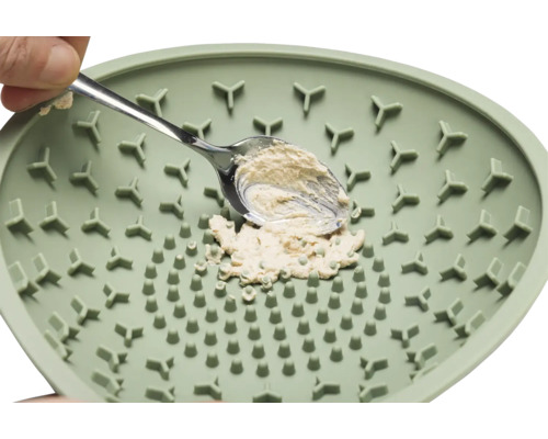 Une râpe à ail avec de l''ail et une cuillère