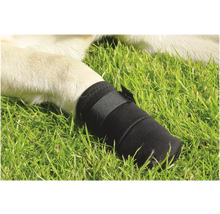 Hundepfote mit schwarzem Schutzschuh im Gras