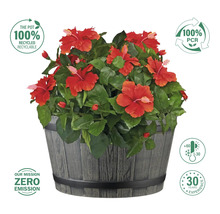 Hibiskus im Pflanztopf mit Hinweisen zu Recycling und Umweltfreundlichkeit