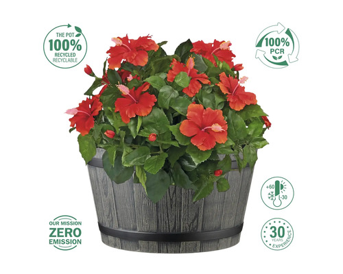 Hibiskus im Pflanztopf mit Hinweisen zu Recycling und Umweltfreundlichkeit