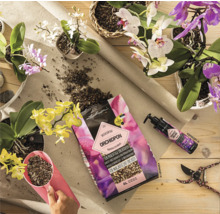 Arrangement avec orchidées, substrat pour orchidées, engrais et sécateur sur une table