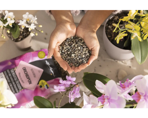 Une personne tient du substrat pour orchidées dans ses mains, entourée d''orchidées. La scène montre l''utilisation d''un substrat spécial pour l''entretien des orchidées.