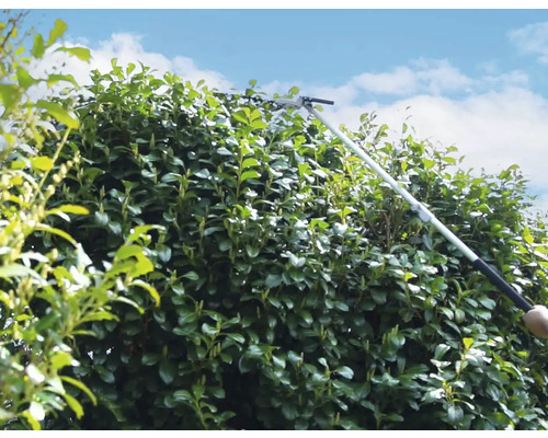 Taille-haie avec manche télescopique coupant une haie