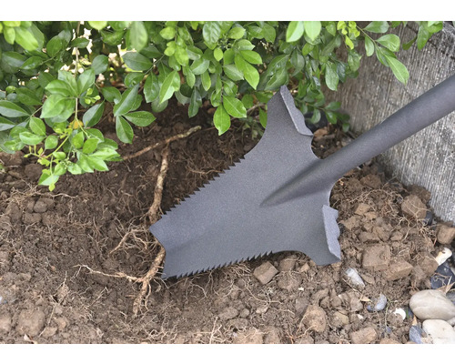 Spaten im Einsatz zum Ausgraben von Erde und Wurzeln im Garten