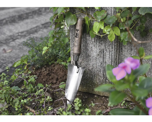 Cuillère en acier inoxydable avec manche en bois dans un parterre de jardin