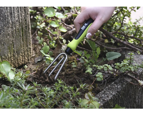 Sarcloir de jardin utilisé dans une plate-bande avec des plantes