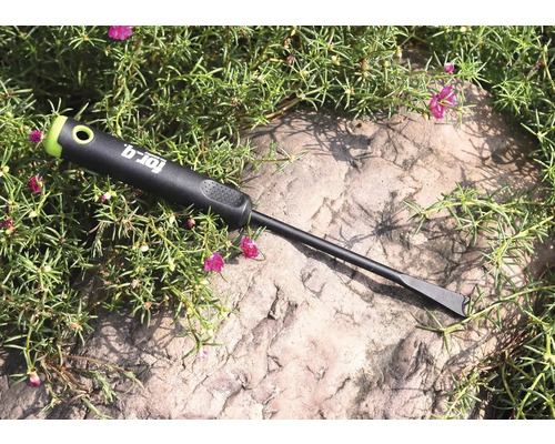 For_q Unkrautstecher auf einem Stein mit Pflanzen