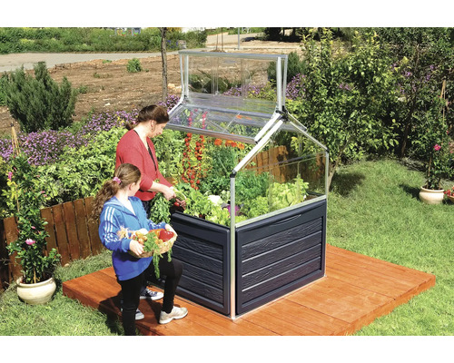 Jardinière surélevée avec rehausse et deux personnes récoltant des légumes dans le jardin.