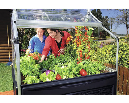 Jardinière surélevée avec des légumes et deux personnes dans le jardin