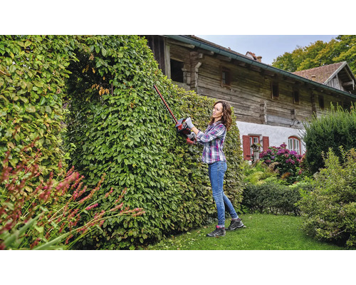 Femme taillant une haie avec un taille-haie dans le jardin.