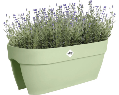Jardinière avec plantes de lavande et logo Elho