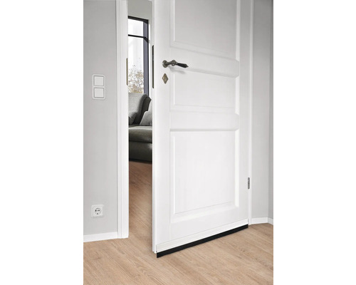 Porte blanche ouverte avec ferrures et vue sur un salon