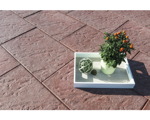 Dalles de terrasse avec plante et décoration sur un plateau