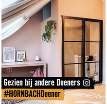 Chambre mansardée avec bureau, décoration, plante d''intérieur et porte vitrée à cadre noir