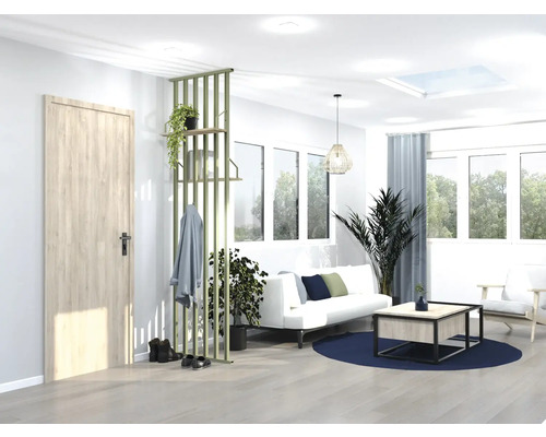 Salon lumineux avec porte, séparation de pièce, canapé et plantes pour une ambiance conviviale