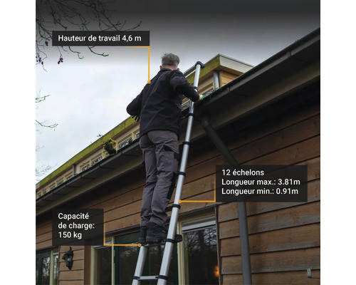Batavia échelle télescopique Profi 3,81m