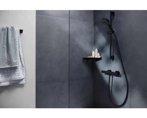 Salle de bains avec douche, étagère et serviette