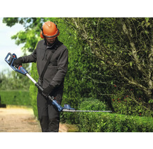 Une personne taille une haie avec un taille-haie télescopique à batterie Bosch.