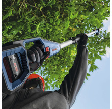 Élagueuse à batterie en cours d'utilisation pour couper les branches d'arbres