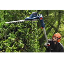 Personne taillant une haie avec un taille-haie télescopique sans fil Bosch