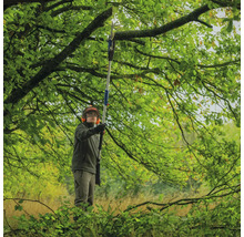 Un homme coupe des branches dans un arbre avec un ébrancheur.