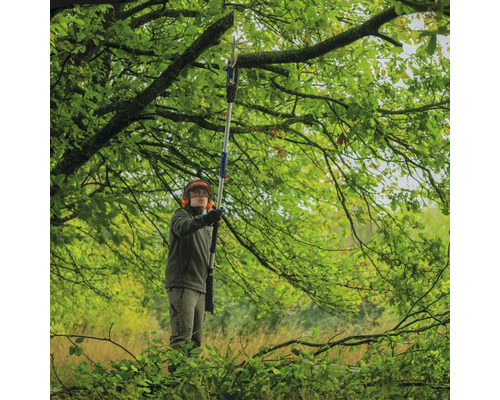 Un homme coupe des branches dans un arbre avec un ébrancheur.