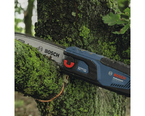 Logo Bosch. Tronçonneuse à batterie Bosch coupant une branche recouverte de mousse.