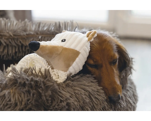 Dackel schläft mit Spielzeug in einem flauschigen Hundebett