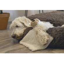 Ein Hund ruht in einem Hundebett mit einem Stofftier.