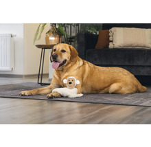 Ein Labrador liegt mit einem Hundespielzeug im Wohnzimmer auf einem Teppich.