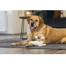 Ein Labrador liegt mit einem Schafstofftier auf einem Teppich.