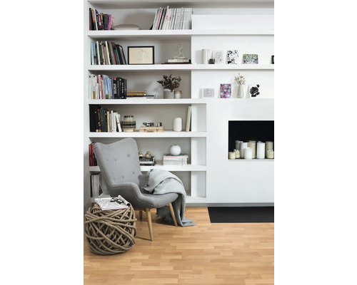 Salon avec bibliothèque, fauteuil et décoration