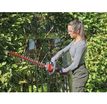 Frau schneidet Hecke mit einer Heckenschere