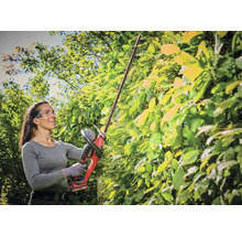 Frau schneidet Hecke mit Akku-Heckenschere im Garten.