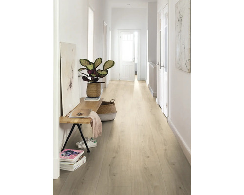 Couloir avec sol stratifié clair, banc, plante et décorations