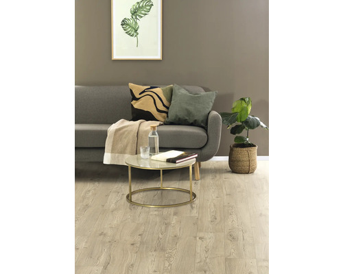 Wohnzimmer mit Sofa, Couchtisch und Zimmerpflanze