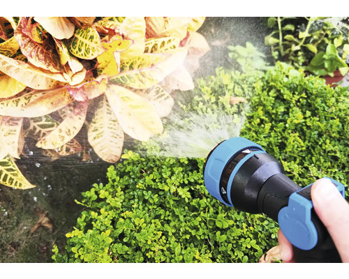 Une main tient un tuyau d''arrosage qui arrose des plantes.