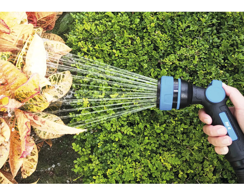 Une main tient un tuyau d''arrosage qui arrose des plantes.