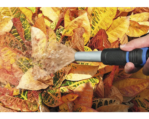Arrosage du jardin avec un tuyau d''arrosage sur les feuilles