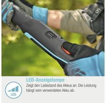 Taille-haie sans fil avec indicateur LED du niveau de charge de la batterie