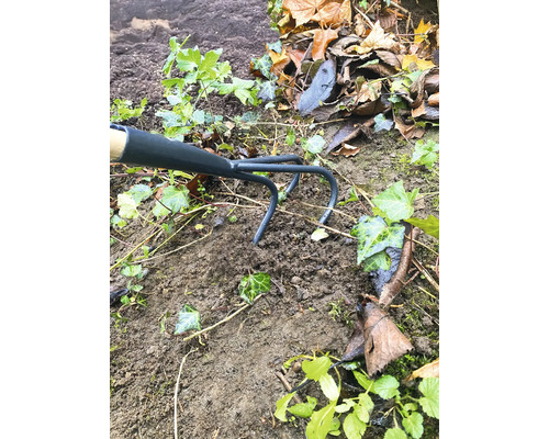 Sarcloir utilisé entre la terre et les plantes