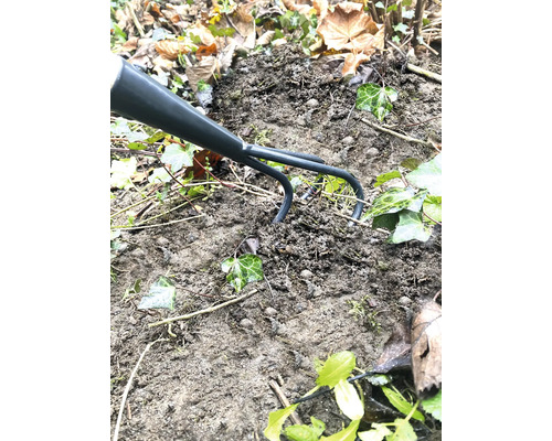 Cultivateur à griffes de jardin utilisé sur un tas de terre avec du lierre