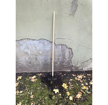 Houe à manche en bois pour travaux de jardinage