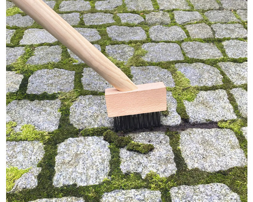 Brosse avec manche en bois enlevant la mousse des pavés.