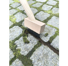 Fugenbürste mit Holzgriff reinigt Pflastersteine von Moos