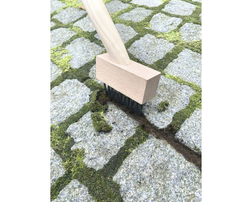 Brosse à joints avec manche en bois nettoyant le pavé de la mousse
