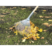 Râteau à feuilles en métal avec manche en bois ramassant les feuilles d''automne sur la pelouse