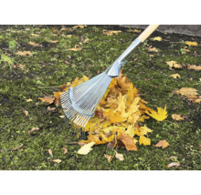 Râteau à feuilles en métal avec manche en bois sur des feuilles