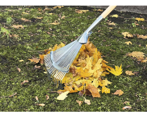 Râteau à feuilles en métal avec manche en bois sur des feuilles