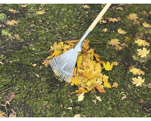 Râteau à feuilles en métal avec manche en bois sur une pelouse avec des feuilles